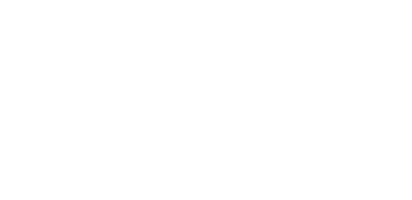 Koerner Consulting Group